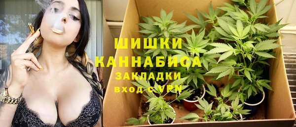 не бодяженный Белокуриха