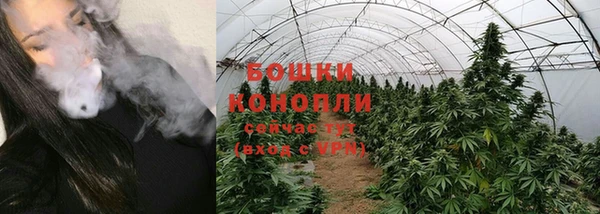не бодяженный Белокуриха