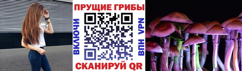 Купить где  Сертолово  Галлюциногенные грибы ЛСД 